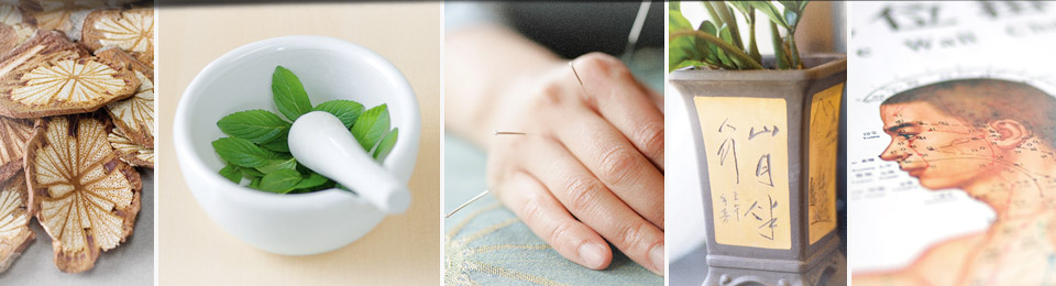 Collage of five images. From left to right: a dried herb, leaves in a mortar pestle, close-up of hand with an acupuncture needle, plant pot with Chinese characters, close-up of medical illustration of a man